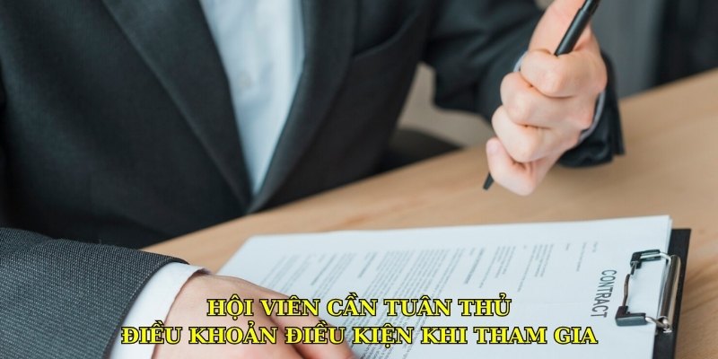 Hội viên cần tuân thủ điều khoản điều kiện khi tham gia